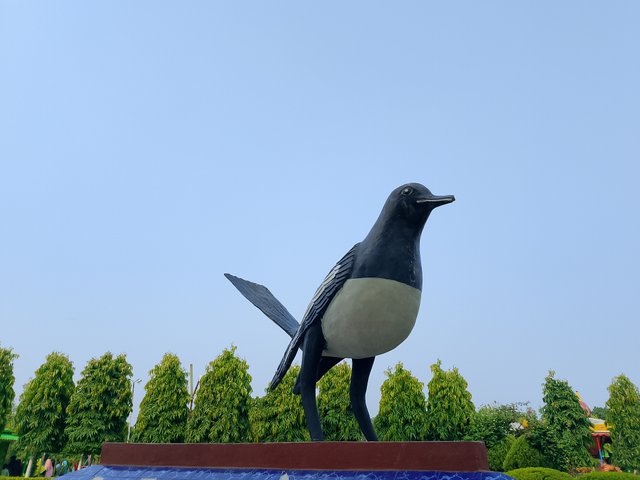 1000041025.jpg