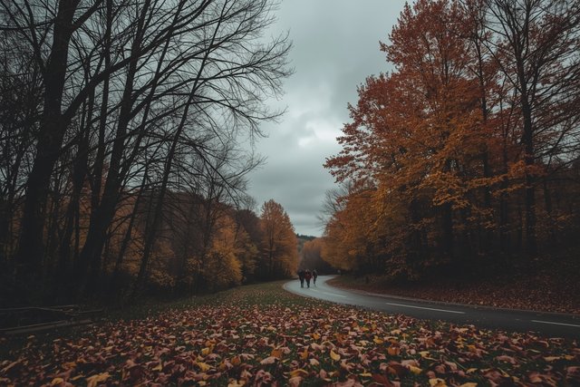 Lucid_Realism_Autumn_in_Ukraine_on_a_dark_gloomy_day_with_vibr_2.jpg