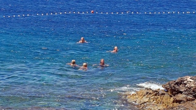 20170618_123033.jpg