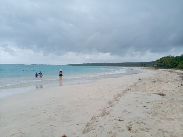 IMG_20250406_122546_702.jpg