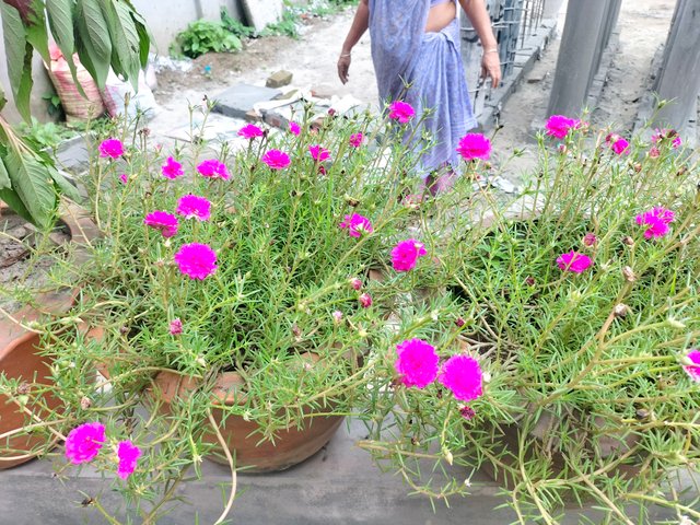 IMG20250715120516.jpg