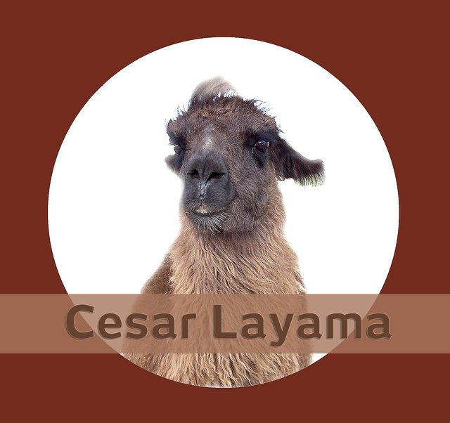 Cesar-Layama.jpg