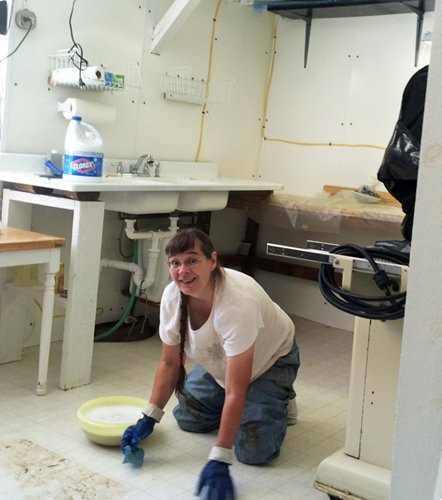 Pam cleaning butchershop crop Sept. 2014.jpeg