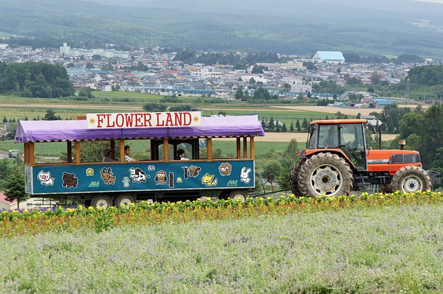 Japan-Hokkaido12802-777.jpg