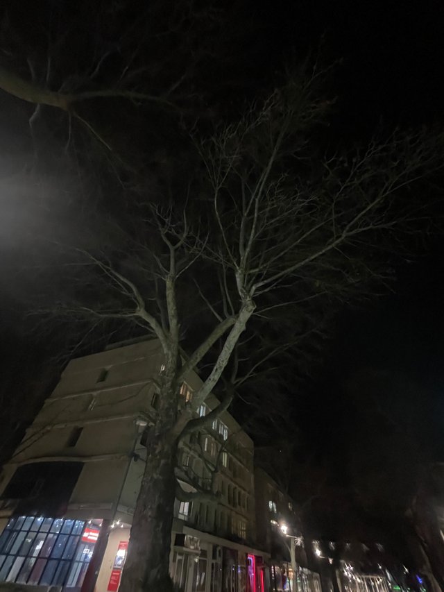 IMG_5132.jpeg