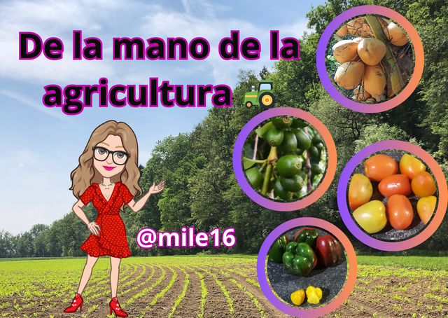 De la mano de la agricultura 🚜_20240214_233652_0000.png