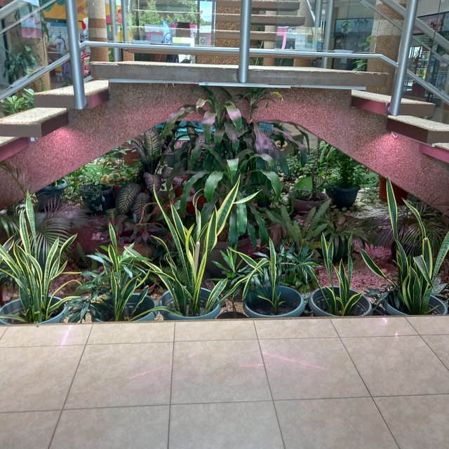 20250723_130535.jpg