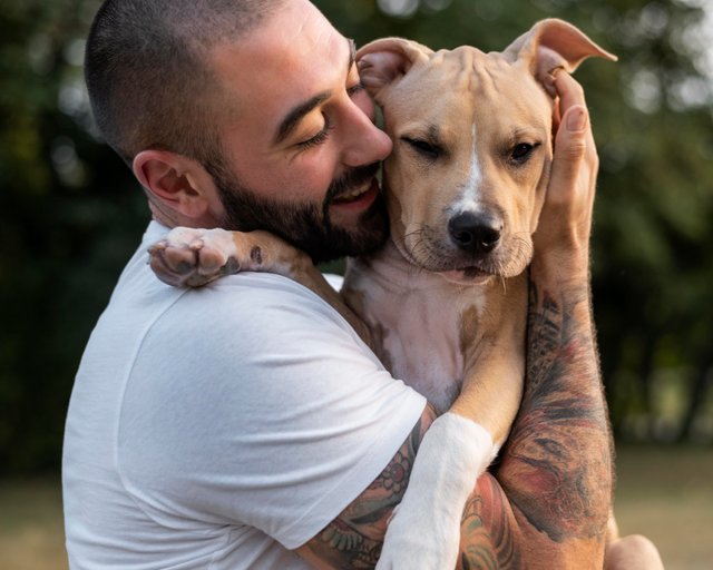 man-hugging-his-friendly-pitbull.jpg