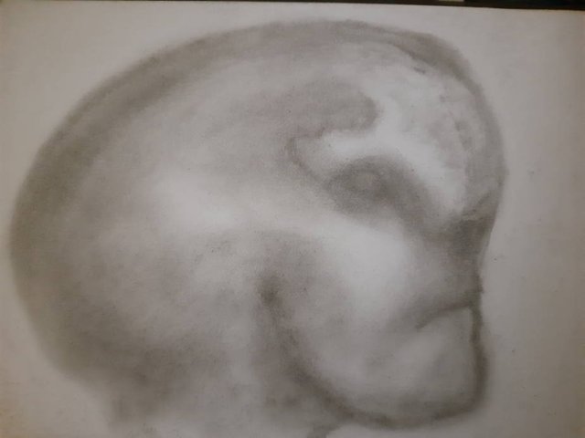 20250813_103001.jpg