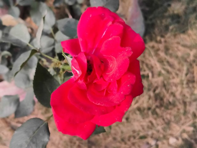 1000170300.jpg