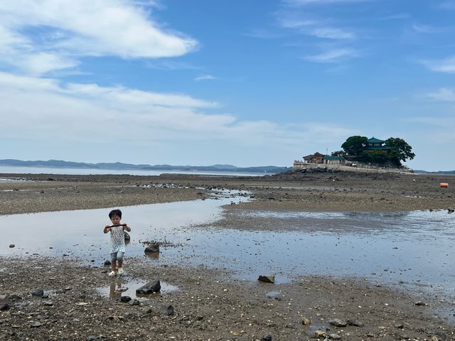 IMG_3119.jpeg