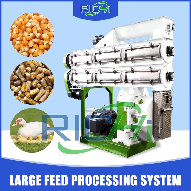 animal feed pellet machine south Africa.jpg