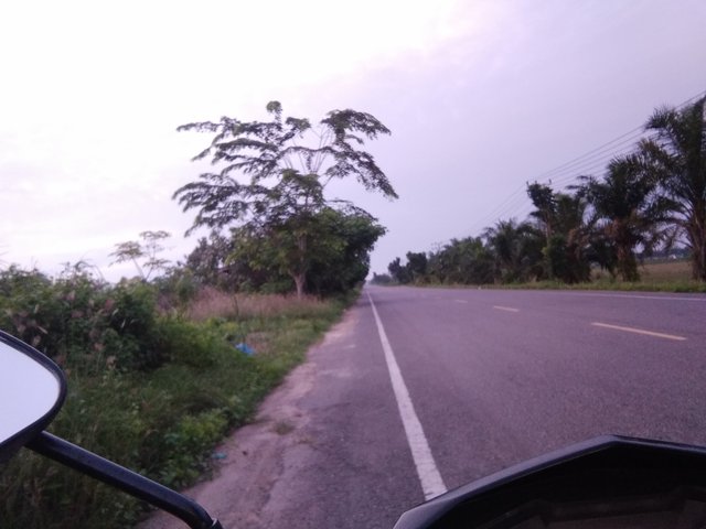 IMG_20210611_061105.jpg