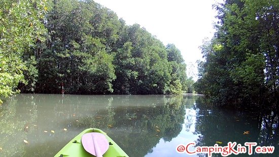 ST-พายเรือคายัค-คุ้งกระเบน-10.jpg