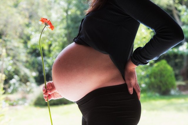 Pregnant Woman Pregnancy Baby Belly Mother Flowers.jpg