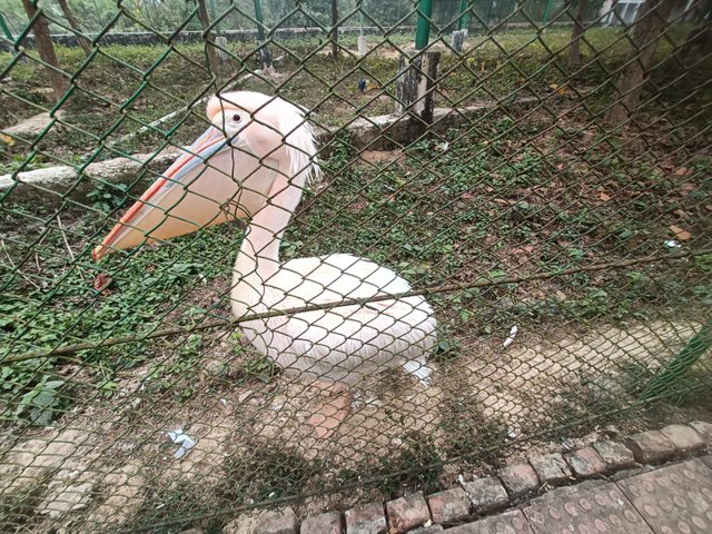 IMG20250103140506.jpg