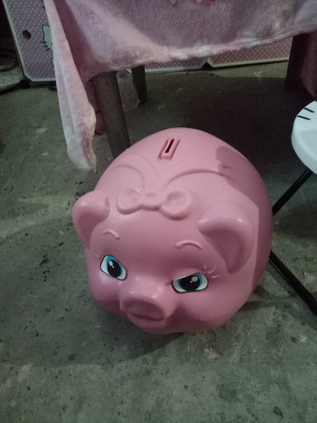 piggy bank.jpg