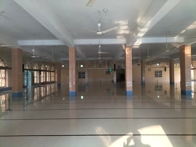 IMG20250405072931.jpg