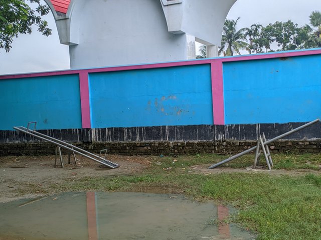 1000050963.jpg