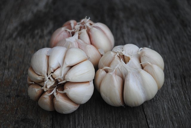 garlic-6834190_1280.jpg
