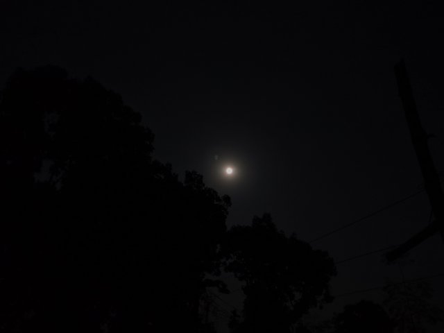 IMG_20250411_193301.jpg