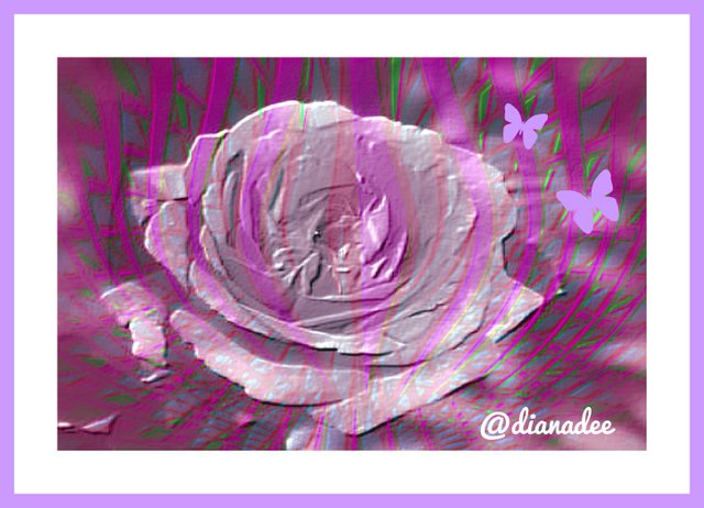 lilac rose and butterfly graphic art a1.jpg