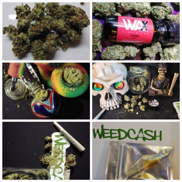 firs weed post compilation.png