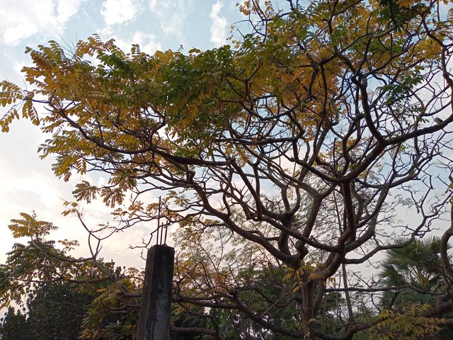 20250112_162613.jpg