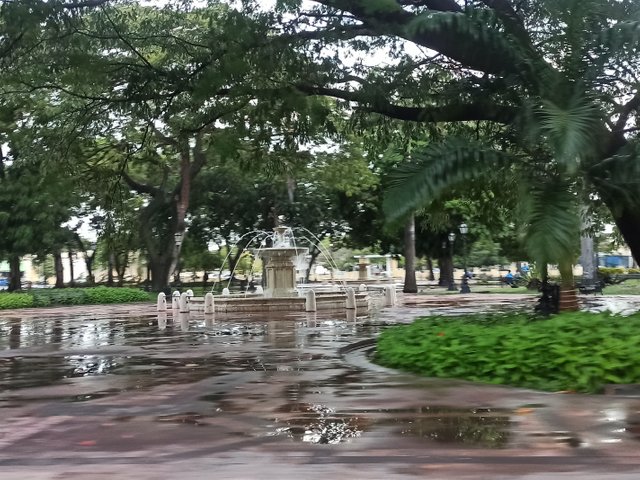IMG_20250719_074204.jpg