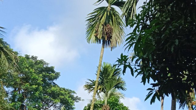 IMG_20251014_174244_920.jpg