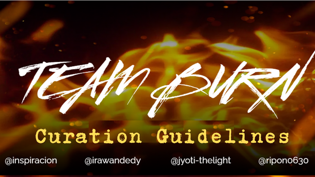 Curation Guidelines.png
