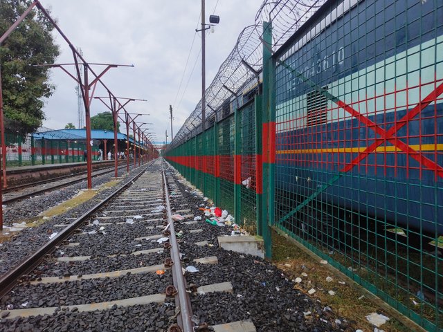 1000156103.jpg