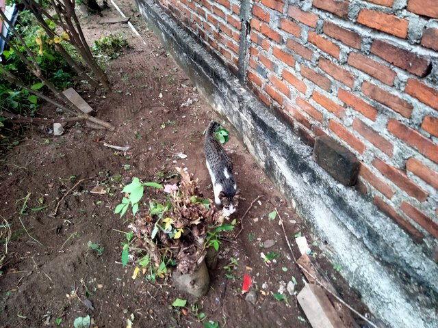 IMG20250626164727.jpg