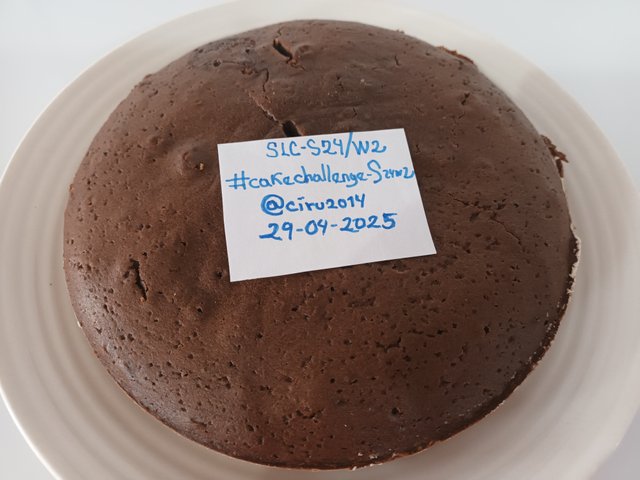 20250429_172747.jpg