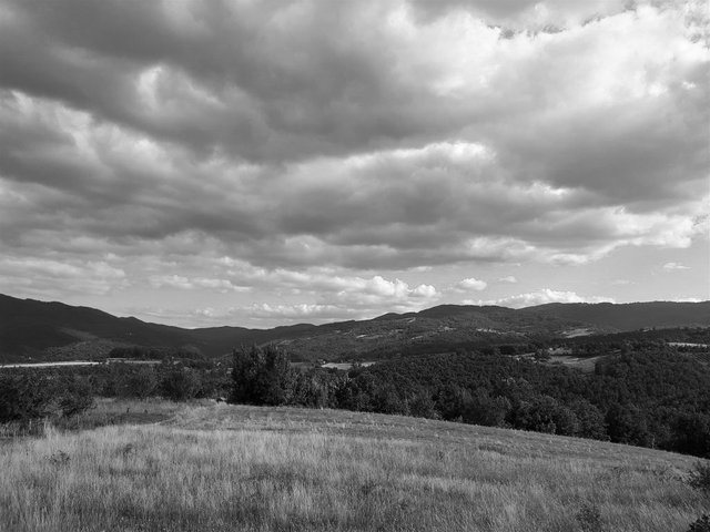 Planina Vidojevica.jpg