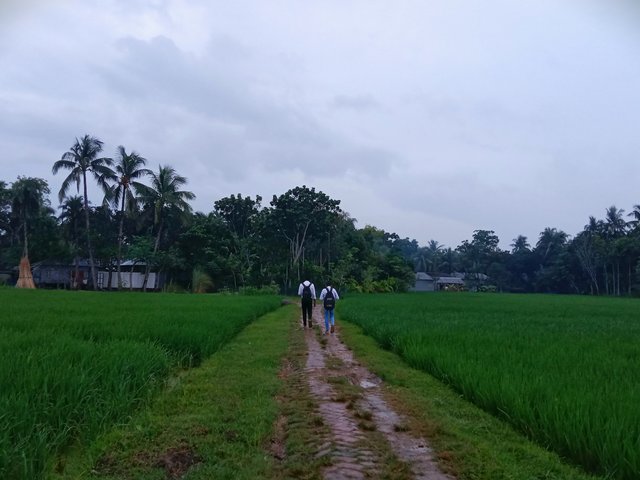 IMG_20250916_154001.jpg