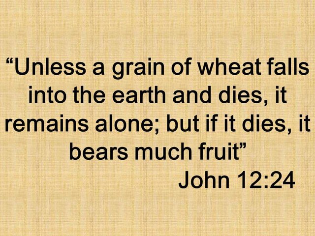 The death of Jesus. Unless a grain of wheat falls into the earth and dies, it remains alone; but if it dies, it bears much fruit.jpg