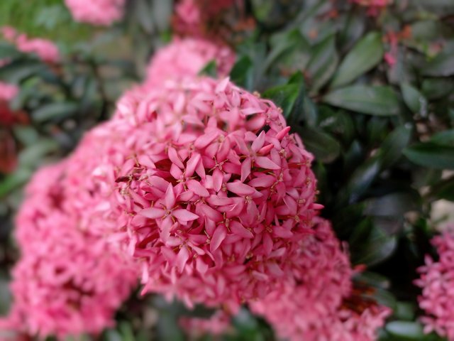 IMG_20250624_172819.jpg