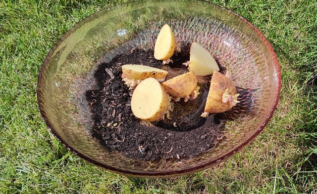 food6.jpg