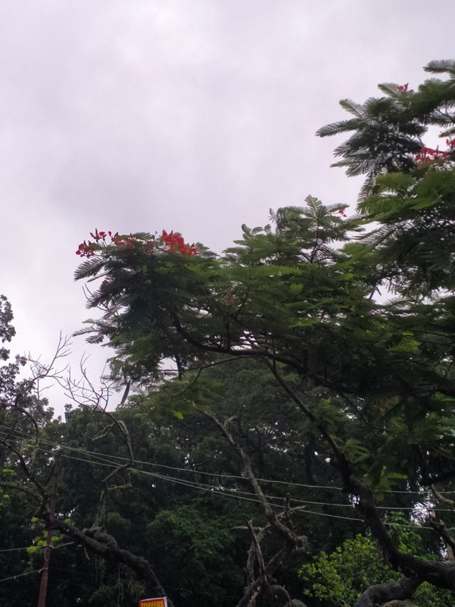 IMG20250708124707.jp