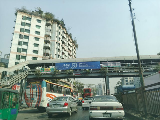 IMG_20250306_140218_152.jpg