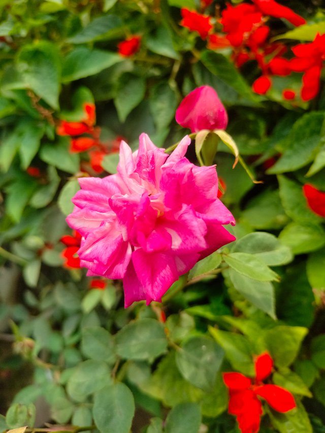 IMG20240214134451.jpg