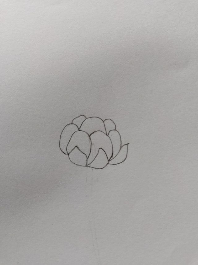 1000054531.jpg