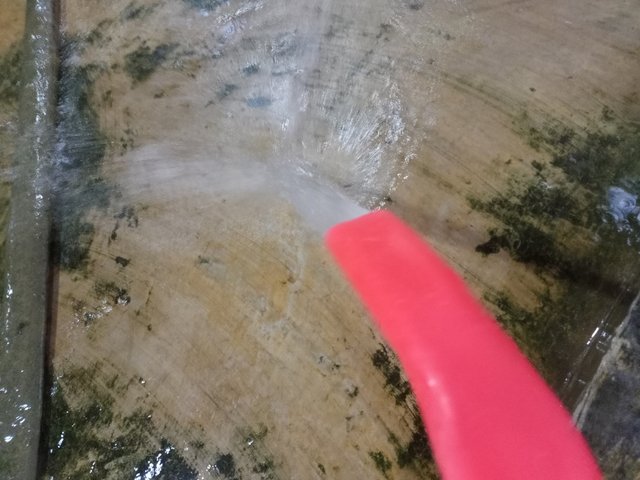 IMG20250804183319.jpg