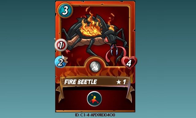 beta beetle.JPG