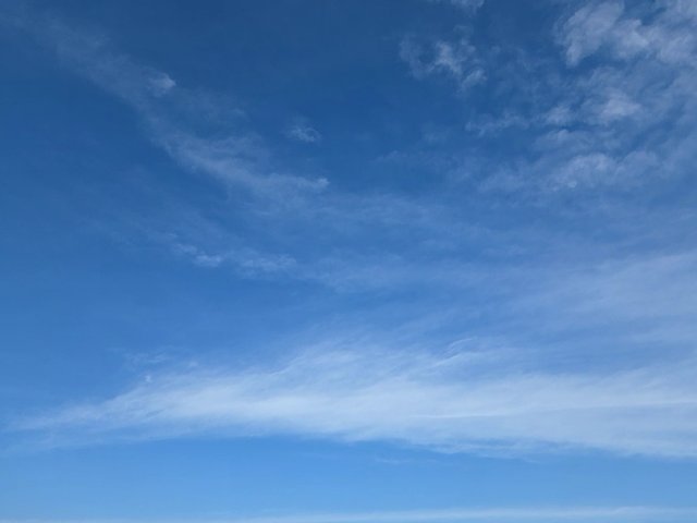 1000015411.jpg
