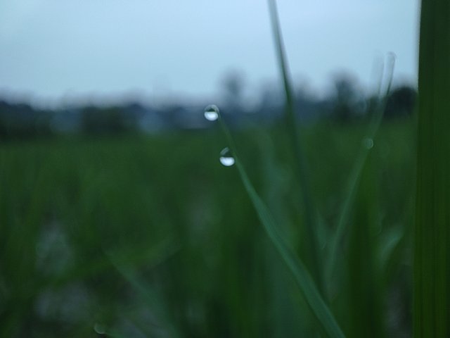 IMG_20250801_181849.jpg