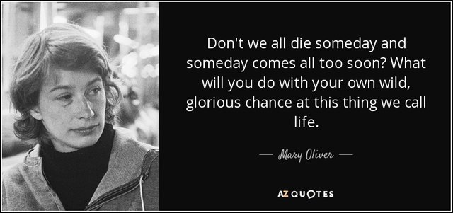 quote-don-t-we-all-die-someday-and-someday-comes-all-too-soon-what-will-you-do-with-your-own-mary-oliver-58-38-09.jpg