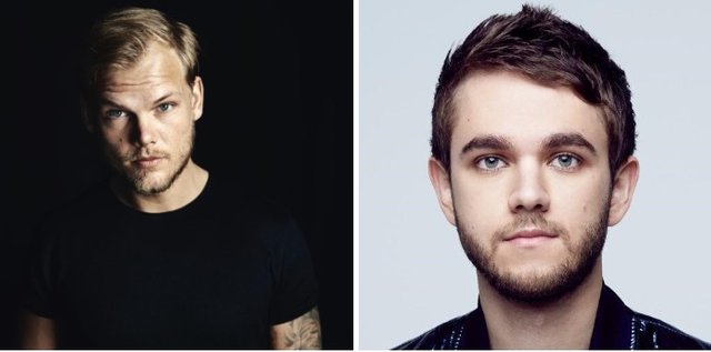 Avicii's, Zedd - Musician