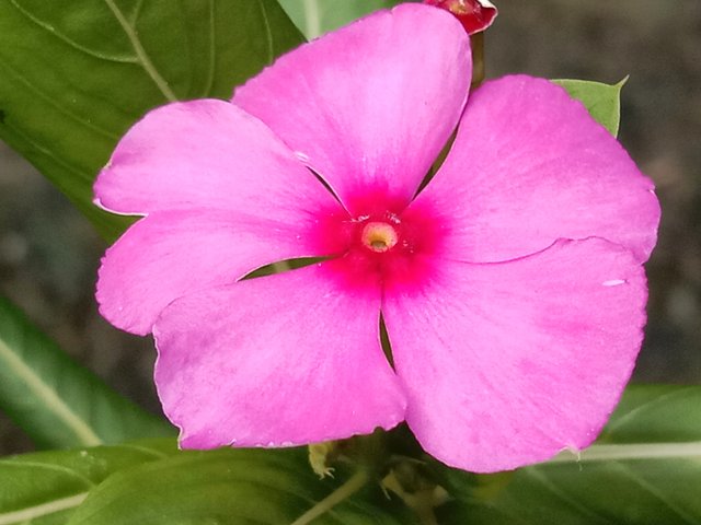 IMG_20250912_215342.jpg